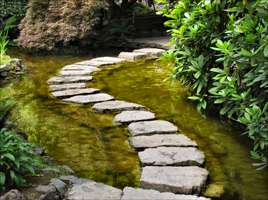 Camino en agua jardín Paisajismo VerdeConsciente