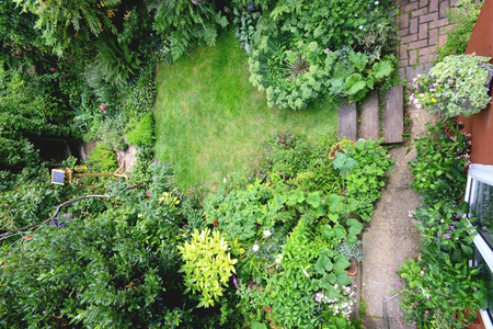 Jardín, paisajismo VerdeConsciente