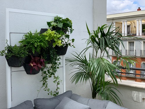 jardinvertical-terraza-verdeconsciente500